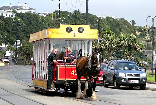 Douglas IOM