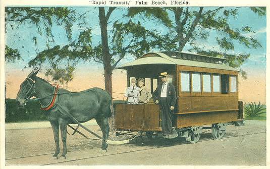 Palm Beach Mule Tram