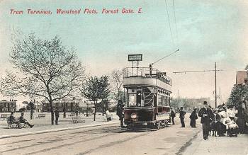 Wanstead Flats